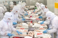 Nam Việt khó đạt được mức tăng trưởng lợi nhuận dương trong năm 2023
