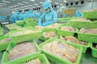 Nam Việt giải thể Công ty bất động sản thành lập đầu năm 2022