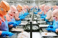 Thủy sản Minh Phú lên kế hoạch đi lùi trong năm 2023