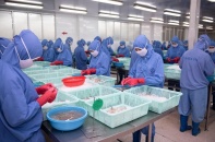 6 tháng đầu năm 2023, doanh số của Thực phẩm Sao Ta giảm 20%