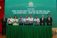 Lộc Trời triển khai liên kết sản xuất trên 300.000 ha lúa giai đoạn 2024 - 2030