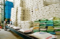 Lợi nhuận Vinafood II lao dốc khi Ấn Độ gỡ bỏ hạn chế xuất khẩu gạo