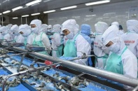 Doanh thu Thực phẩm Sao Ta tiếp tục tăng trong tháng 8/2025, lên 40,16 triệu USD