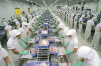 Doanh thu tháng 10/2025 của Vĩnh Hoàn giảm 11%, về 1.076 tỷ đồng