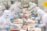 Chủ tịch Nam Việt đăng ký thoái toàn bộ 900.000 cổ phiếu