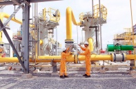 PV GAS D không đáp ứng điều kiện công ty đại chúng