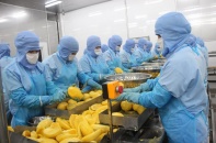 Thực phẩm An Giang muốn phát hành cổ phiếu trả cổ tức năm 2024