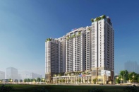 Dicera Holdings ghi nhận lãi ròng 48,8 tỷ đồng trong quý đầu năm 2026