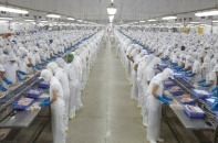 Vĩnh Hoàn ghi nhận lãi 285,96 tỷ đồng trong quý đầu năm 2026, tăng 35,3%