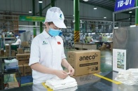 Nhựa An Phát Xanh ghi nhận lãi 153,67 tỷ đồng trong quý đầu năm 2026