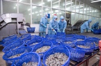 Doanh số chung của Thực phẩm Sao Ta giảm thêm 22% trong tháng 4/2026, về 18,35 triệu USD