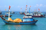 75% tỉnh thành triển khai bảo hiểm cho tàu khai thác hải sản