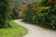 Thanh tra hoạt động quản lý rừng ở Vườn quốc gia Ba Vì