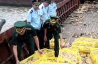 Quảng Ninh: Bắt giữ 226 vụ buôn lậu trong 5 tháng 
