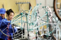 Xe đạp Thống Nhất thành công ty cổ phần