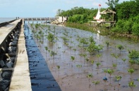 Cà Mau đề xuất xây dựng đê biển Đông để ngăn nước biển dâng