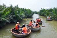 Quảng Nam chi 25,5 tỷ đồng phục hồi rừng dừa nước Cẩm Thanh