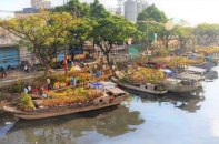 Sài Gòn vàng rực bởi hoa Mai xuống phố