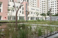 TP.HCM cần bán hàng nghìn căn hộ tái định cư đang xuống cấp
