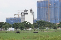 TP.HCM có khung giá hỗ trợ nhà, công trình trên đất nông nghiệp mới