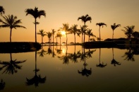 L"ALYANA SENSES WORLD: Đánh thức ngũ quan, tìm lại bản nguyên cuộc sống