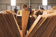 Đơn hàng gỗ hồi phục theo yêu cầu “ít, ngắn và nhanh”