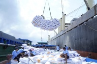 Vì sao xuất khẩu gạo Việt sang Trung Quốc giảm mạnh?