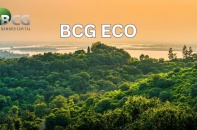 Bamboo Capital thành lập công ty trồng và chăm sóc rừng BCG Eco