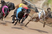 Phú Yên kiến nghị cho cá cược tại dự án Trường đua ngựa   