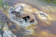 Thực hiện không đúng ĐTM, mía đường Tuy Hòa gây ô nhiễm môi trường