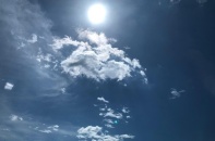 Phú Yên đề nghị Trung ương hỗ trợ khẩn cấp chống hạn   