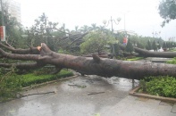 Hoàn lưu bão số 5 tại miền Trung: Cây đổ, tàu thuyền trôi, nhà tốc mái, nước sông dâng cao