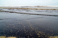 Những bất thường đáng lo ngại về môi trường xung quanh Khu Kinh tế Dung Quất