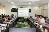 Thuận Phát đề xuất trồng cây cao lương tại Phú Yên