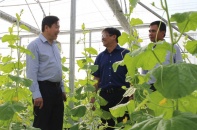 Phú Yên điều chỉnh mặt bằng Khu nông nghiệp ứng dụng công nghệ cao