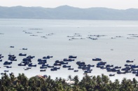 JICA bắt đầu kế hoạch giúp Phú Yên xử lý ô nhiễm môi trường Vịnh Xuân Đài