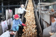 Phú Yên: Đề xuất có gói kích cầu từ ngân sách địa phương hỗ trợ doanh nghiệp