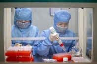 Phú Yên đề nghị được xét nghiệm virus SarCoV-2