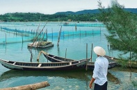 Phú Yên: Năm 2021 chấm dứt tình trạng xâm lấn danh thắng quốc gia đầm Ô Loan