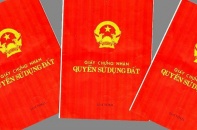 Đình chỉ công tác Giám đốc Chi nhánh Văn phòng đăng ký đất đai quận Sơn Trà