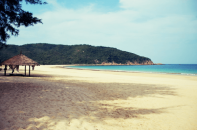 Chuyển 38ha rừng phòng hộ sang đất phi nông nghiệp tại dự án Emerald Bay Resort (Phú Yên)