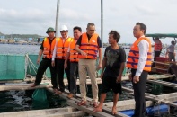 Phú Yên: Liên tục cảnh báo người dân về mức độ thiên tai do bão số 9