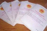 Đà Nẵng truy nã đặc biệt trùm lừa đảo mua bán đất Vũ Quý Lãm