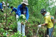 Ngân hàng Thế giới cam kết hỗ trợ 60 triệu USD cho nỗ lực giảm phát thải của Việt Nam 