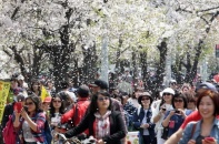 Hàn Quốc hút khách Việt qua chiến dịch quảng bá du lịch xuân