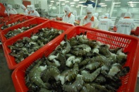 Sắp có biểu thuế ưu đãi Việt Nam - Hàn Quốc