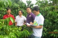 PVFCCo tham gia mô hình hợp tác công tư PPP