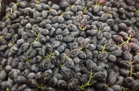 Việt Nam mở cửa trở lại cho cam quýt và nho từ Australia 