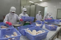 30 doanh nghiệp thủy sản đủ điều kiện xuất khẩu sang Nga