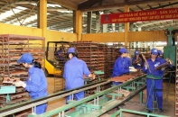DAC chuẩn bị đưa Dây chuyền lò nung số 2 vào hoạt động